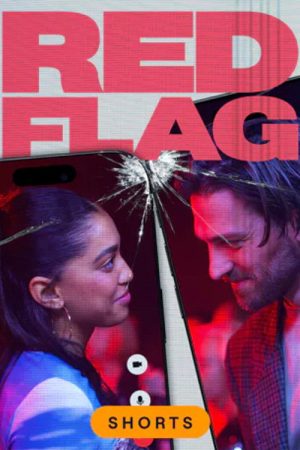 Red Flag (2025) poster