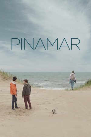 Pinamar (2016) poster