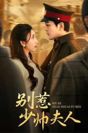 别惹少帅夫人 (2025) poster