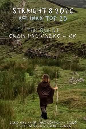 The Quest (2026) poster