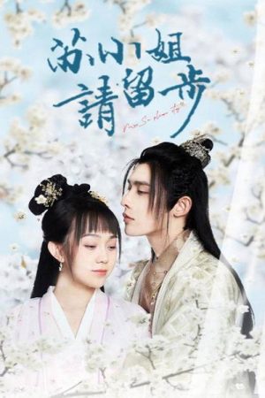 苏小姐请留步 (2022) poster