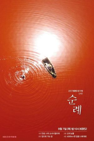 순례 (2017) poster