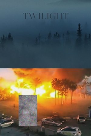 Twilight (2021) poster