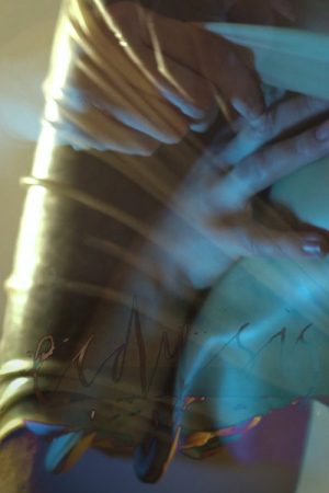 Ecdysis II (2017) poster