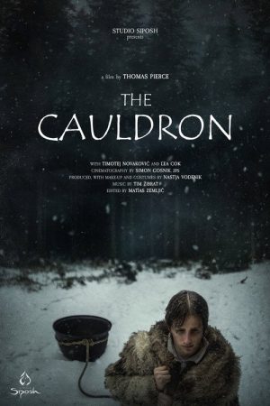 The Cauldron (2025) poster