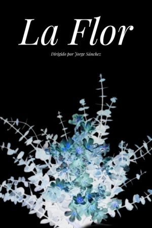 The Flower (2025) poster