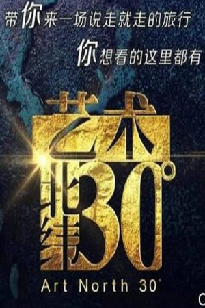 艺术：北纬30度 (2016) poster