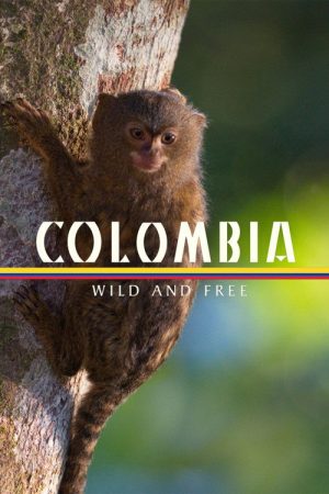 Colombia – Wild and Free (2022) poster
