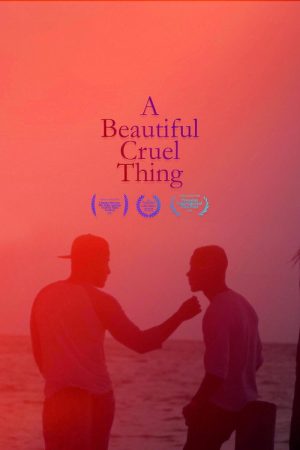 A Beautiful Cruel Thing (2017) poster
