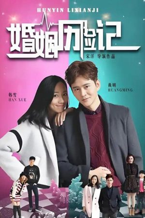 婚姻历险记 (2017) poster