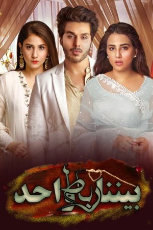 Bandhey Aik Dor Se (2020) poster