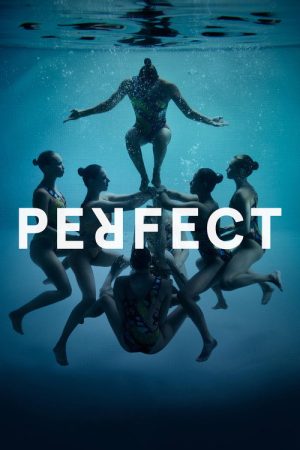 Perfect (2016) poster