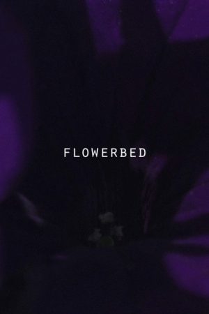 Flower Bed (2017) poster