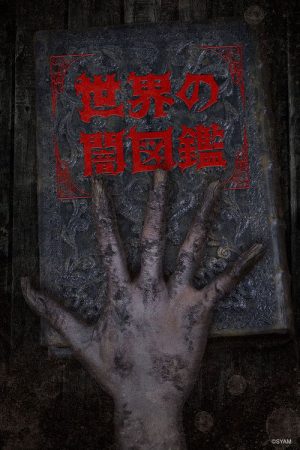 The World Yamizukan (2017) poster