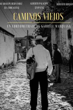 Caminos Viejos (2019) poster
