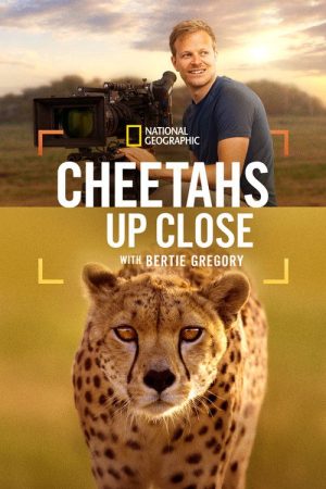 Cheetahs Up Close with Bertie Gregory (2026) poster
