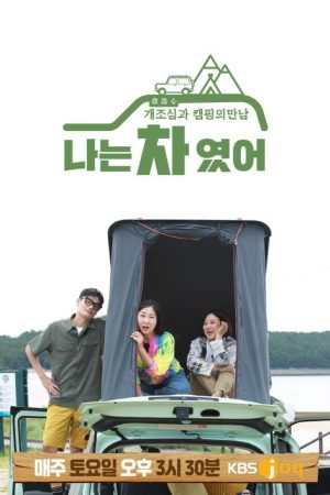 I Was a Car (2020) poster