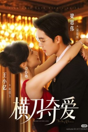 横刀夺爱 (2025) poster