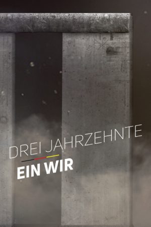 Drei Jahrzehnte Ein Wir (2020) poster