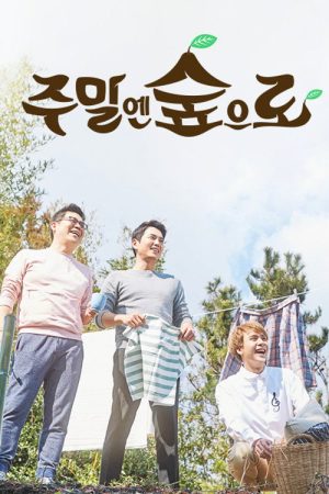 주말엔 숲으로 (2017) poster