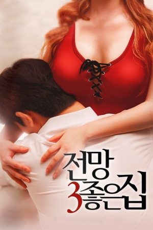 House with a Good View 3 (2016) poster