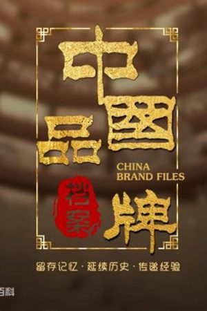 中国品牌档案 (2019) poster