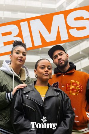 BIMS (2025) poster