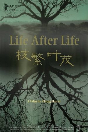 Life After Life (2017) poster