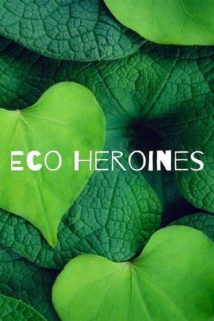 Eco-Heroines (2020) poster