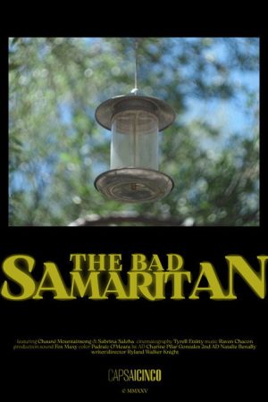 The Bad Samaritan (2026) poster