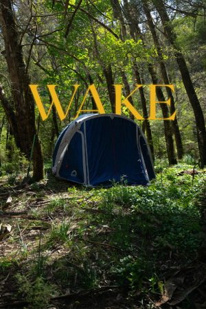 Wake (2025) poster