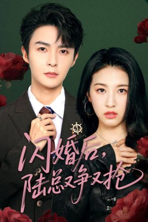 闪婚后陆总又争又抢 (2025) poster