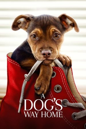 A Dog’s Way Home (2019) poster