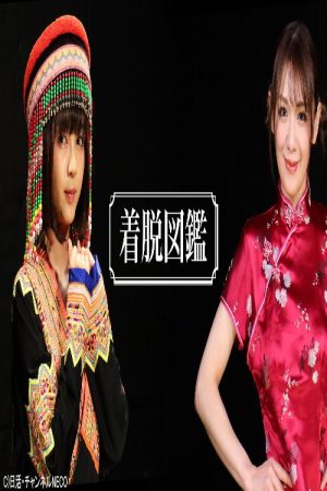 Illustrated Guidebook of Dressing and Undressing (2020) poster
