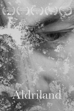Neverland (2017) poster