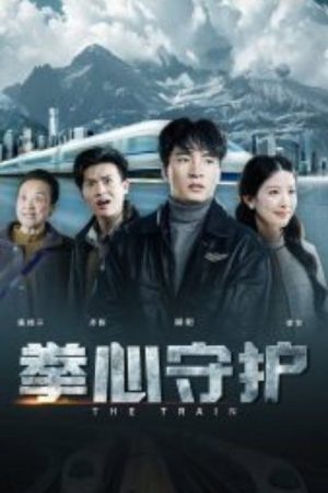 拳心守护 (2025) poster