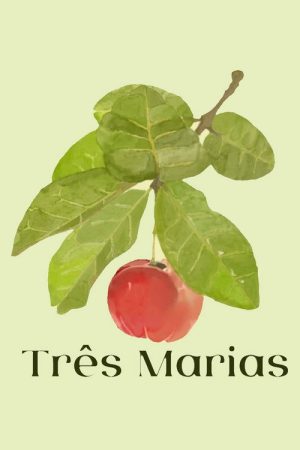Três Marias (2022) poster