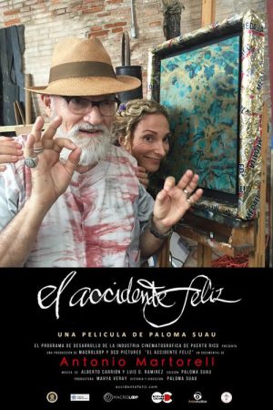 El accidente feliz (2020) poster