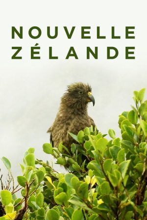 Nouvelle-Zélande : La Reconquête Maorie (2018) poster