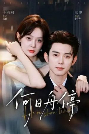 何日舟停 (2026) poster
