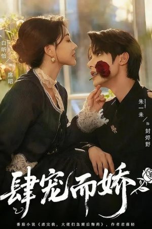 肆宠而娇 (2025) poster