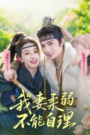 我妻柔弱不能自理 (2026) poster