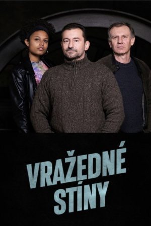 Vražedné stíny (2022) poster