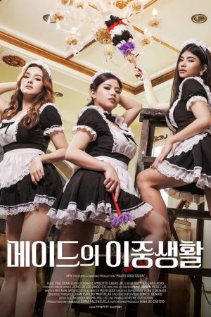 Maid’s Obsession (2026) poster