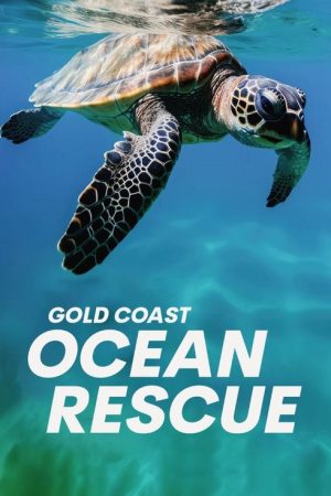 Gold Coast Ocean Rescue (2023) poster