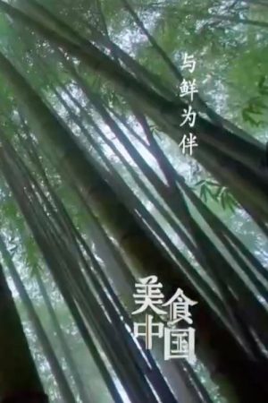 美食中国：与鲜为伴 (2022) poster