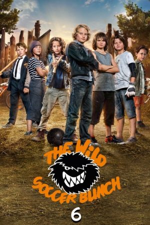 The Wild Soccer Bunch 6 (2016) poster