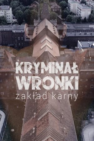 Kryminał Wronki (2019) poster
