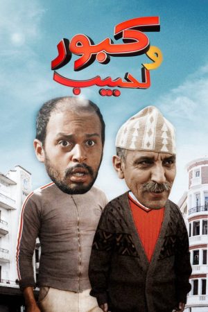 Kabour and Lahbib (2016) poster