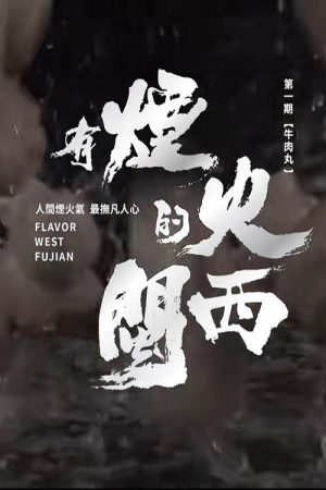 有烟火的闽西 (2023) poster